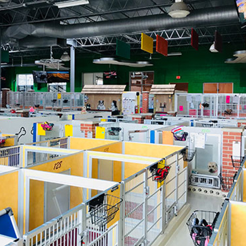 The boarding area of All American Pet Resorts Royal Oak